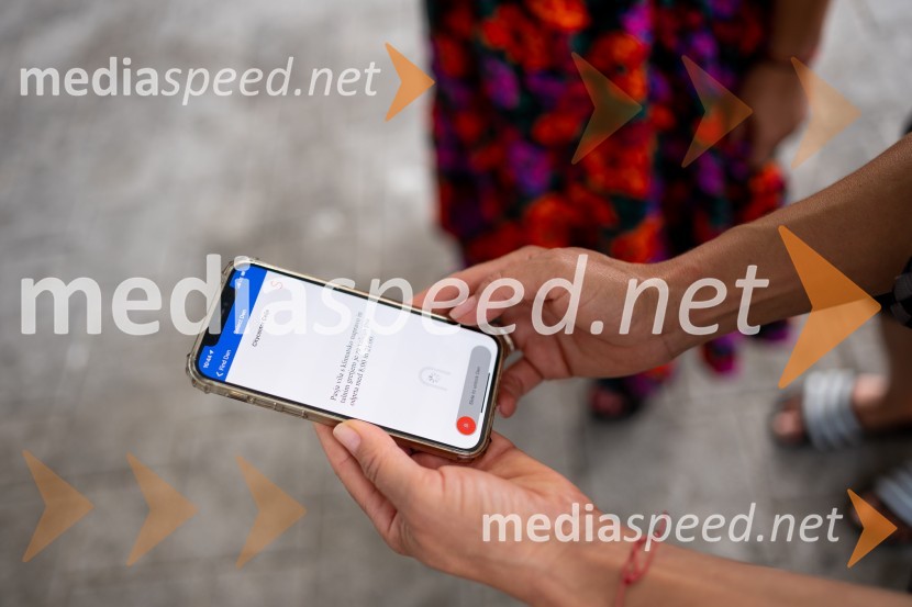 Postavitev Pasje vila, Citycenter Celje