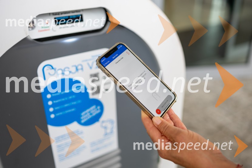 Postavitev Pasje vila, Citycenter Celje