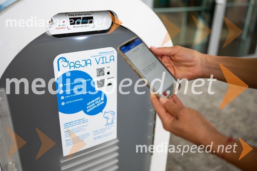 Postavitev Pasje vila, Citycenter Celje