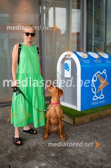 Postavitev Pasje vila, Citycenter Celje