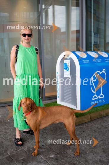 Postavitev Pasje vila, Citycenter Celje