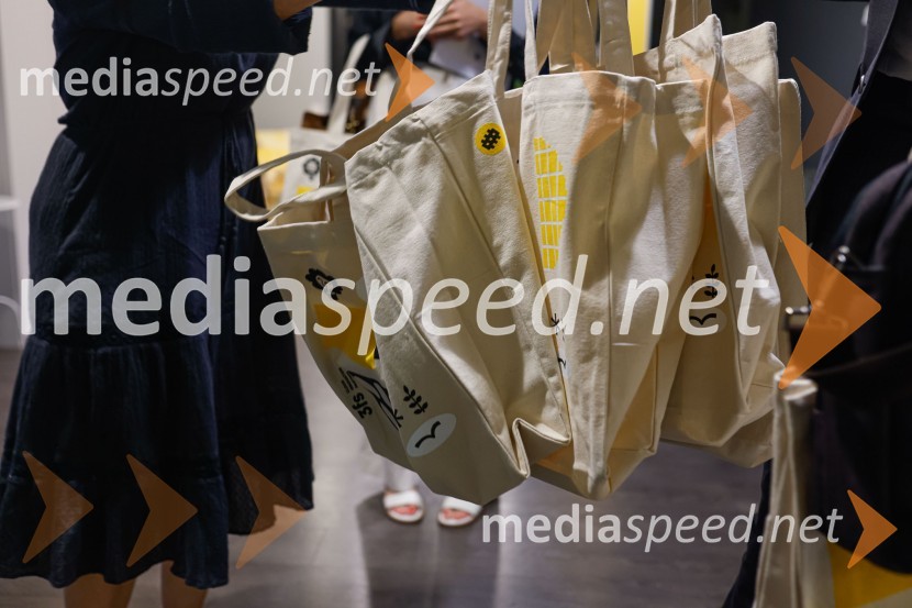 Delovno srečanje treh ministrov v Kranju