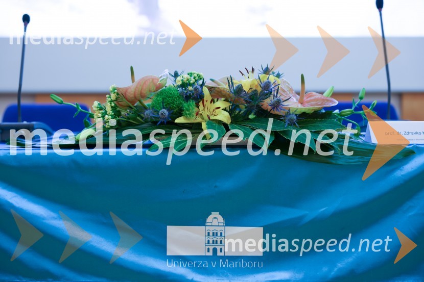 Izstrelitev satelita Trisat-R, Univerza v Mariboru