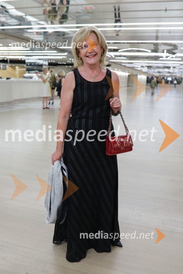 Faustovo pogubljenje, Festival Ljubljana 2022