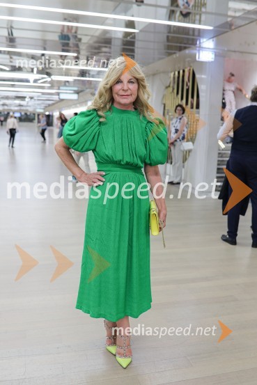  Darja Kuhar Kotnik, soustanoviteljica in podpredsednica Društva za zdravje narodaFaustovo pogubljenje, Festival Ljubljana 2022