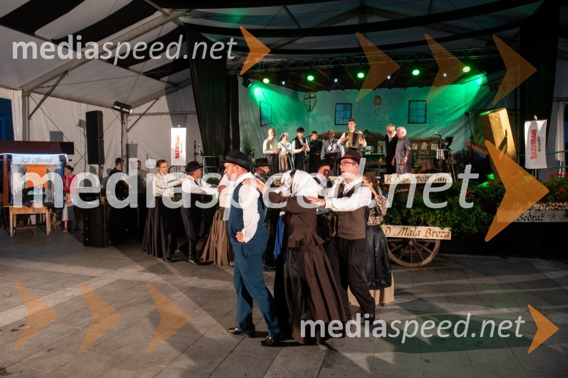 Pivo in cvetje 2022, petek