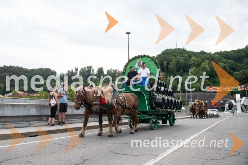 Pivo in cvetje 2022, petek