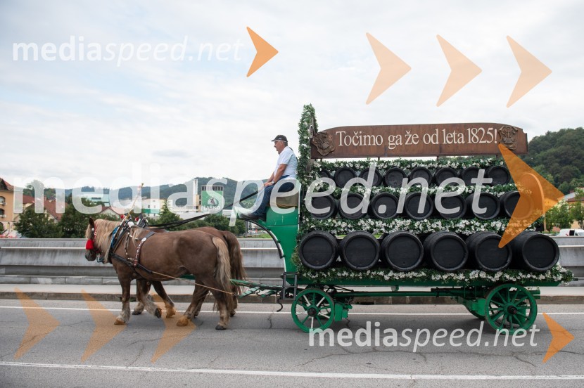 Pivo in cvetje 2022, petek