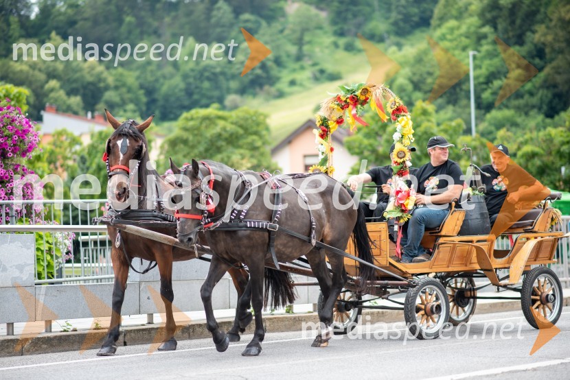 Pivo in cvetje 2022, petek