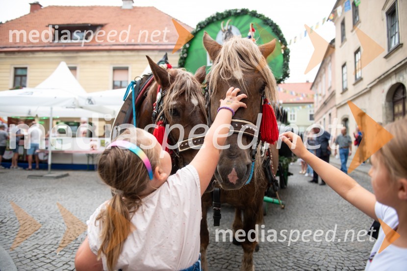 Pivo in cvetje 2022, petek
