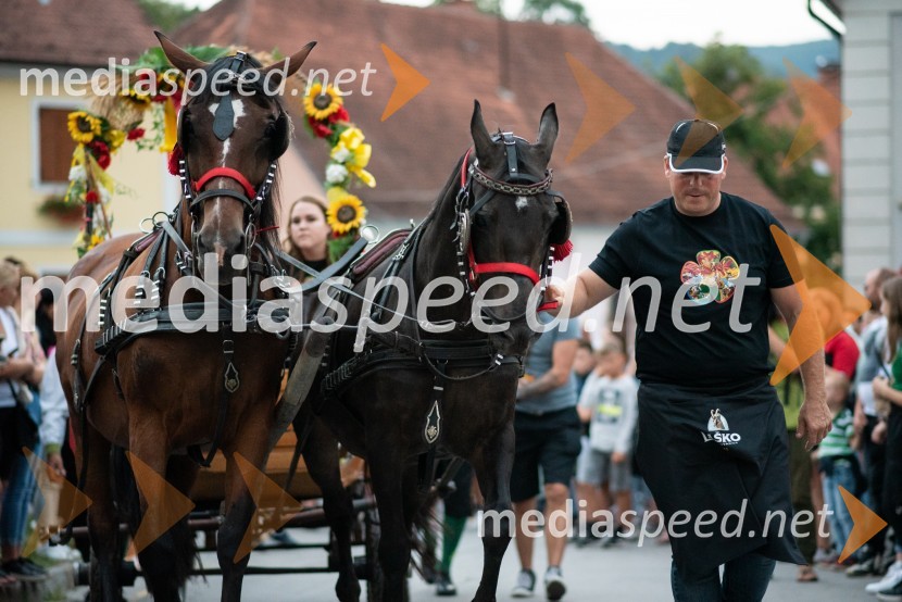 Pivo in cvetje 2022, petek