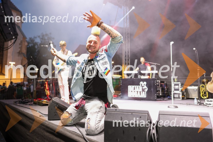  Dejan Krajnc, Dejan DogajaPivo in cvetje 2022, petek