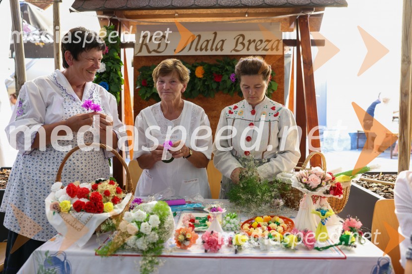 Pivo in cvetje 2022, sobota