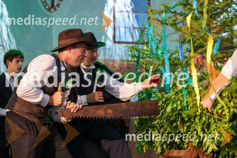 Pivo in cvetje 2022, sobota