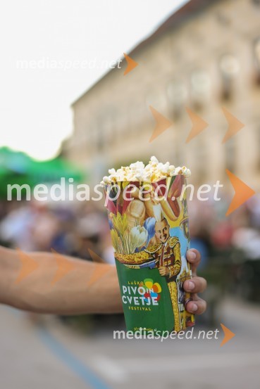 Pivo in cvetje 2022, sobota