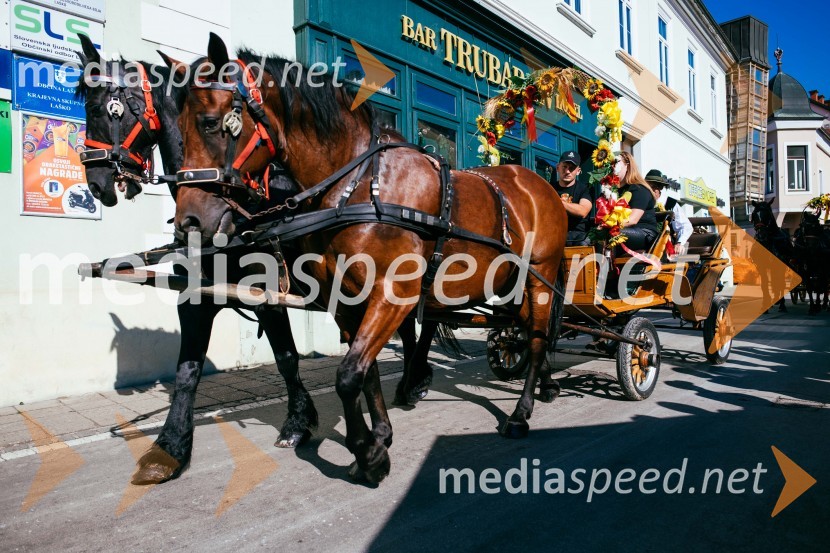 Pivo in cvetje 2022, zaključna povorka, LAŠKO