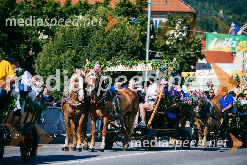 Pivo in cvetje 2022, zaključna povorka, LAŠKO