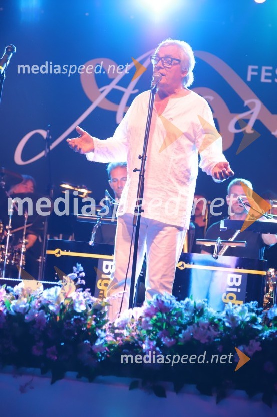  Lado  Leskovar, pevec in ambasador UnicefPevski solisti z Big bandom RTV Slovenije na Festivalu Arsana