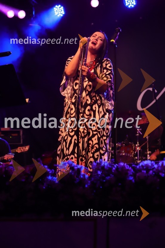  Tinkara Kovač, glasbenicaPevski solisti z Big bandom RTV Slovenije na Festivalu Arsana