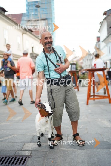 Kranfest 2022, sobotno dogajanje