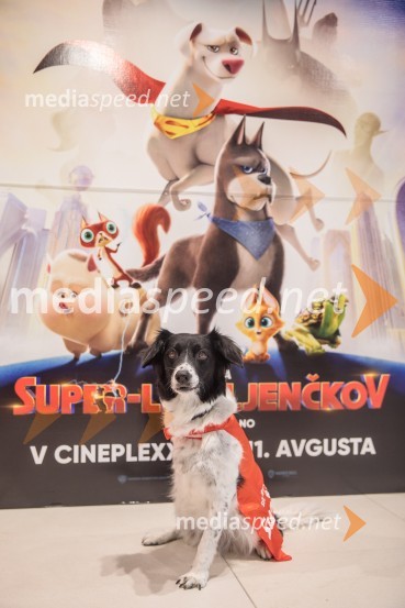 Premiera DC liga super ljubljenčkov, Cineplexx Ljubljana