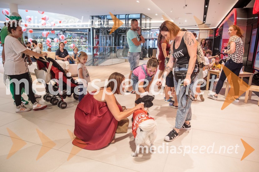 Premiera DC liga super ljubljenčkov, Cineplexx Ljubljana