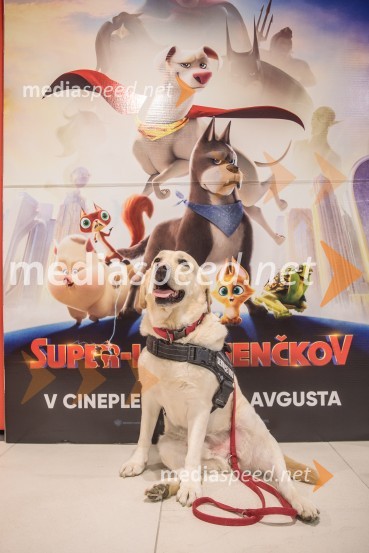 Premiera DC liga super ljubljenčkov, Cineplexx Ljubljana