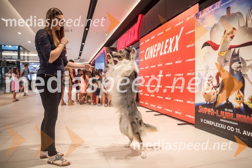 Premiera DC liga super ljubljenčkov, Cineplexx Ljubljana