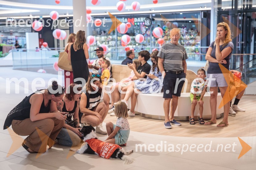 Premiera DC liga super ljubljenčkov, Cineplexx Ljubljana