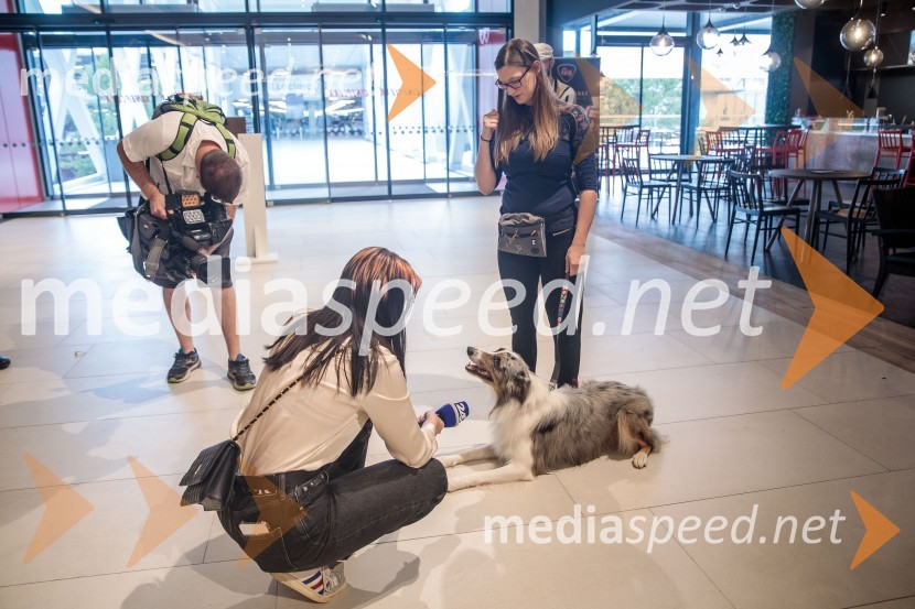 Premiera DC liga super ljubljenčkov, Cineplexx Ljubljana