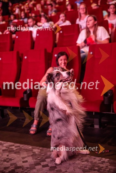 Premiera DC liga super ljubljenčkov, Cineplexx Ljubljana