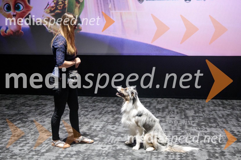 Premiera DC liga super ljubljenčkov, Cineplexx Ljubljana