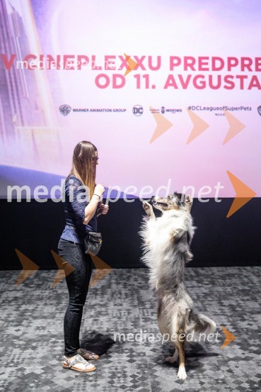 Premiera DC liga super ljubljenčkov, Cineplexx Ljubljana