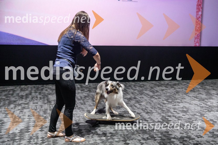 Premiera DC liga super ljubljenčkov, Cineplexx Ljubljana