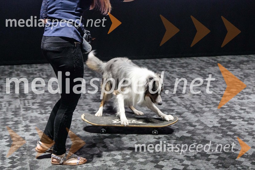 Premiera DC liga super ljubljenčkov, Cineplexx Ljubljana