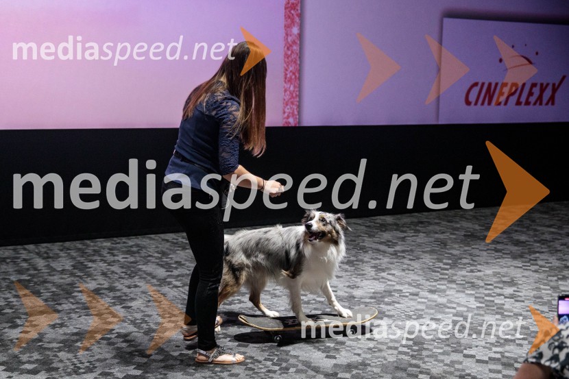 Premiera DC liga super ljubljenčkov, Cineplexx Ljubljana