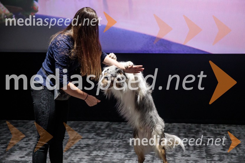 Premiera DC liga super ljubljenčkov, Cineplexx Ljubljana