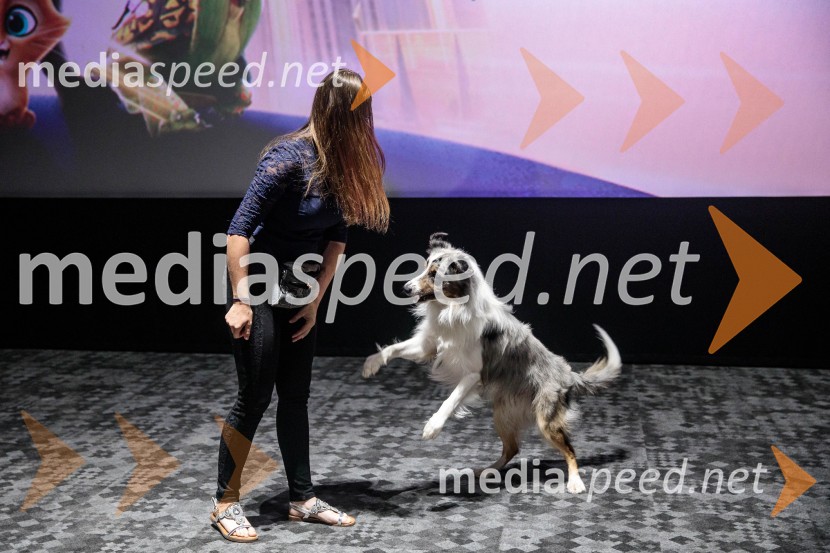 Premiera DC liga super ljubljenčkov, Cineplexx Ljubljana