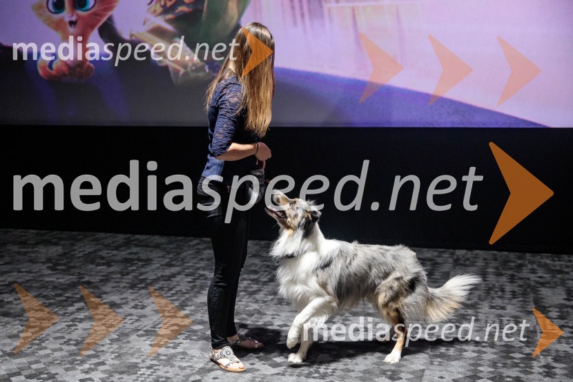 Premiera DC liga super ljubljenčkov, Cineplexx Ljubljana