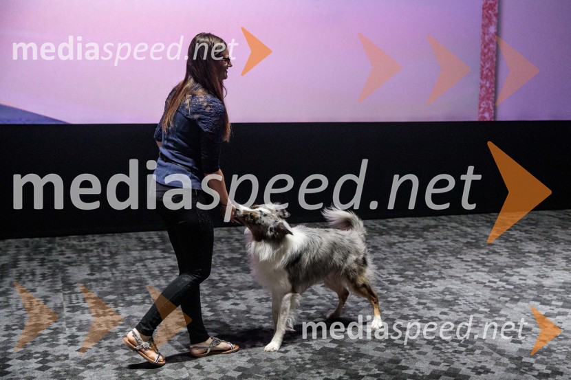 Premiera DC liga super ljubljenčkov, Cineplexx Ljubljana