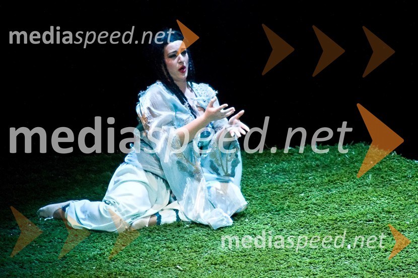 Opera Knez IgorKnez Igor, premiera opere