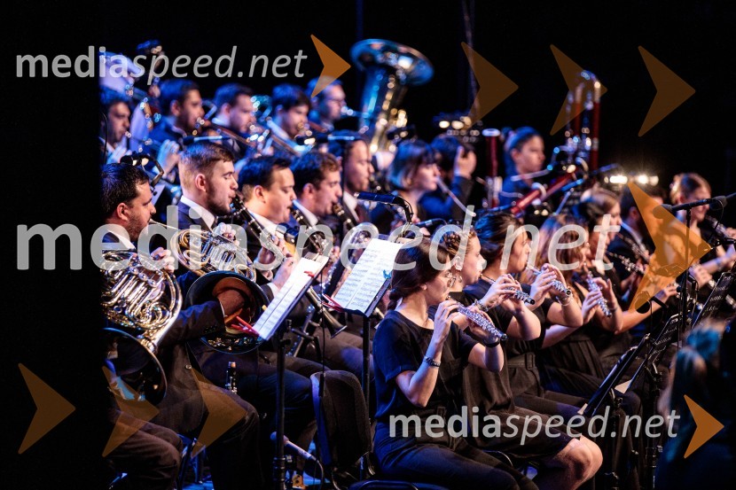 Mednarodni orkester Ljubljana, Festival Ljubljana 2022