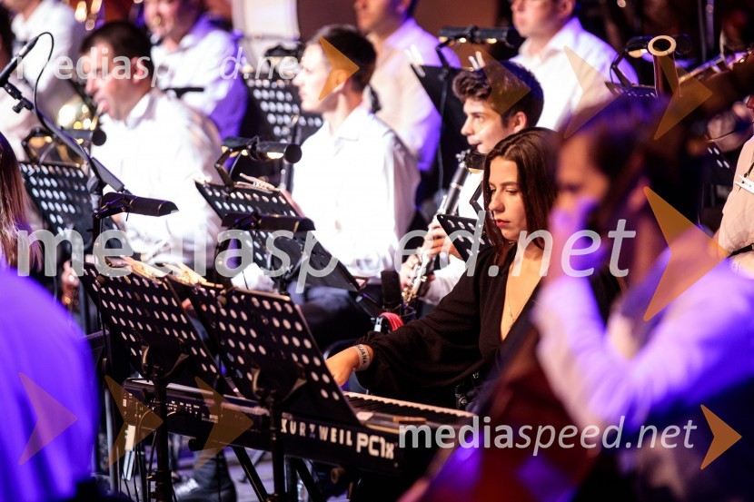 Čarobna glasba iz Harryja Potterja, Festival Ljubljana 2022