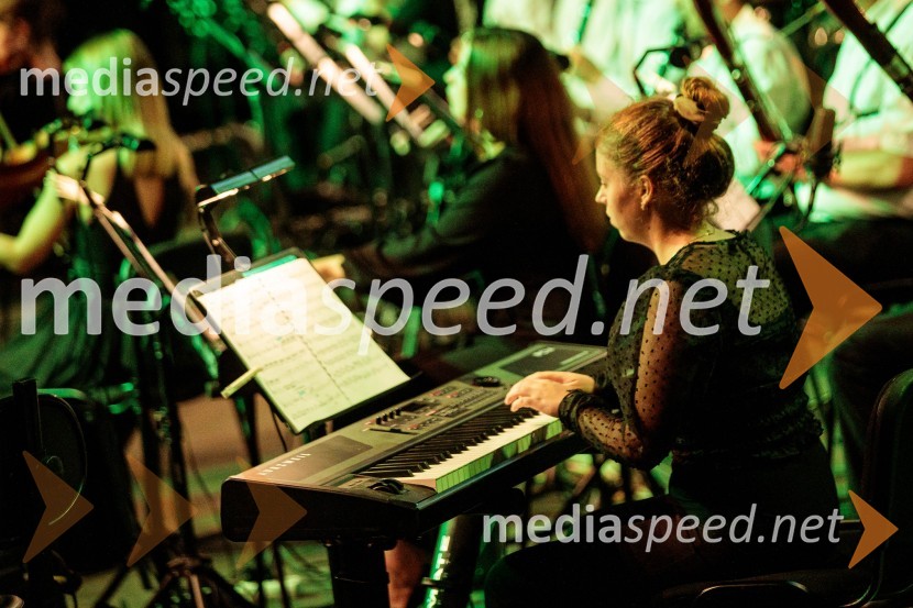 Čarobna glasba iz Harryja Potterja, Festival Ljubljana 2022