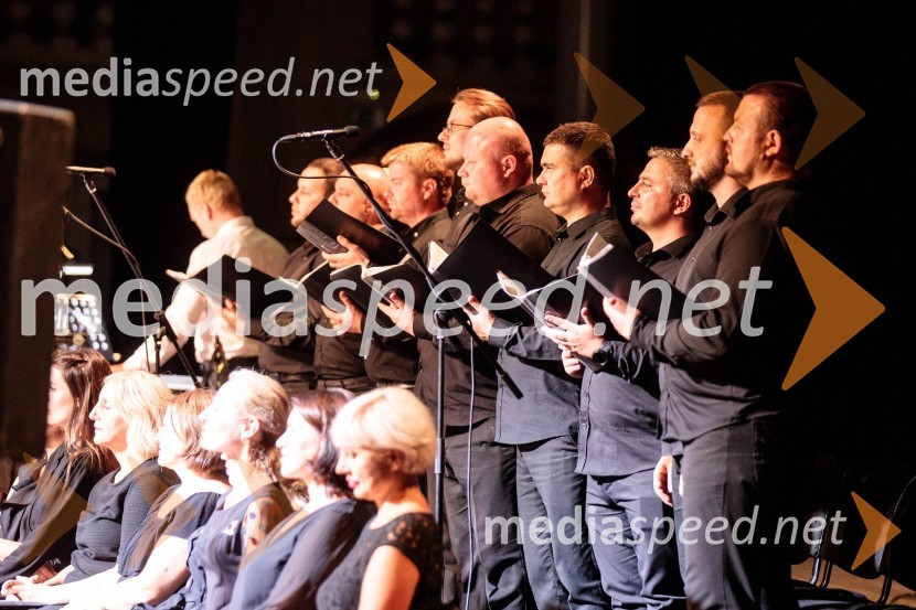 Čarobna glasba iz Harryja Potterja, Festival Ljubljana 2022