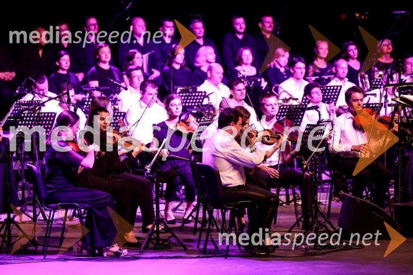 Čarobna glasba iz Harryja Potterja, Festival Ljubljana 2022