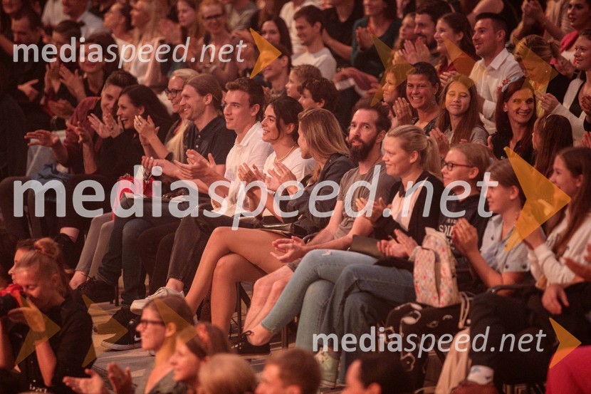 Čarobna glasba iz Harryja Potterja, Festival Ljubljana 2022