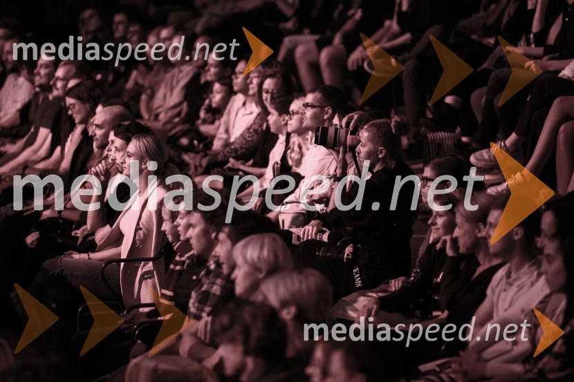 Čarobna glasba iz Harryja Potterja, Festival Ljubljana 2022