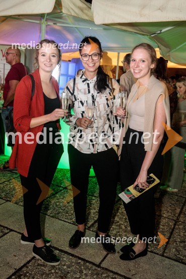 Čarobna glasba iz Harryja Potterja, Festival Ljubljana 2022