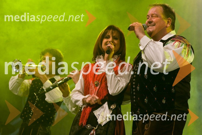 Alpski kvintetSlovenec leta 2008